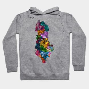 Spirograph Patterned Albania Counties Map Hoodie